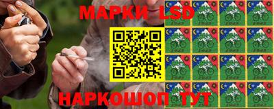 прущие грибы Будённовск