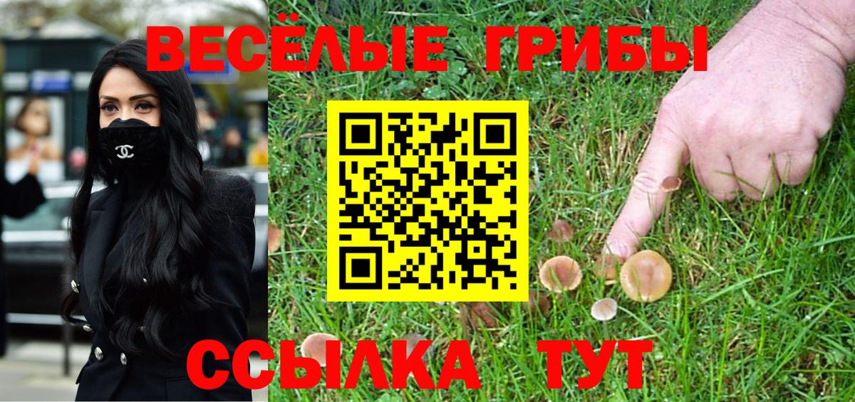 Галлюциногенные грибы Psilocybine cubensis Чистополь