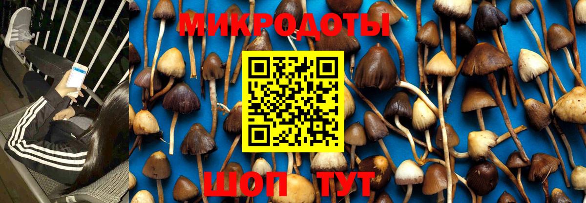 Чистополь  Псилоцибиновые грибы Magic Shrooms  Вход с VPN  Галлюциногенные грибы прущие грибы 